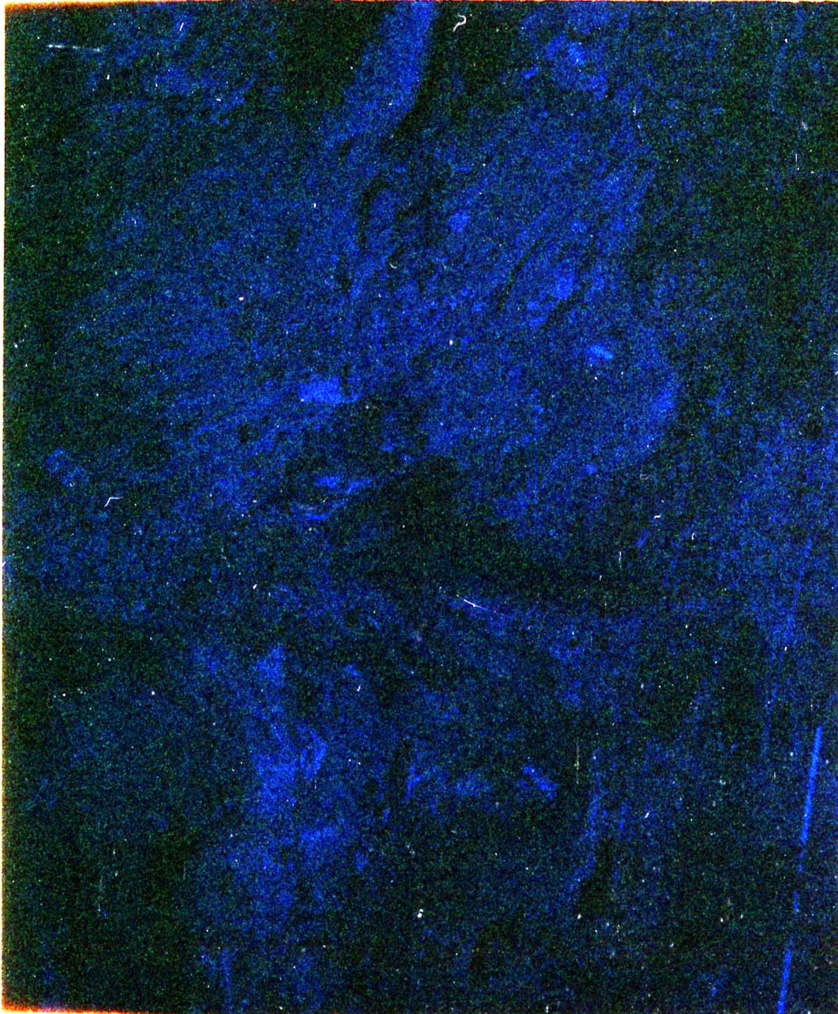 The construction of the Wiley Spring water vault.