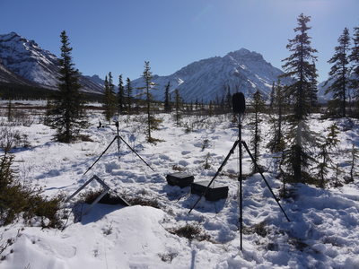 scientific equipment in a snowy forest