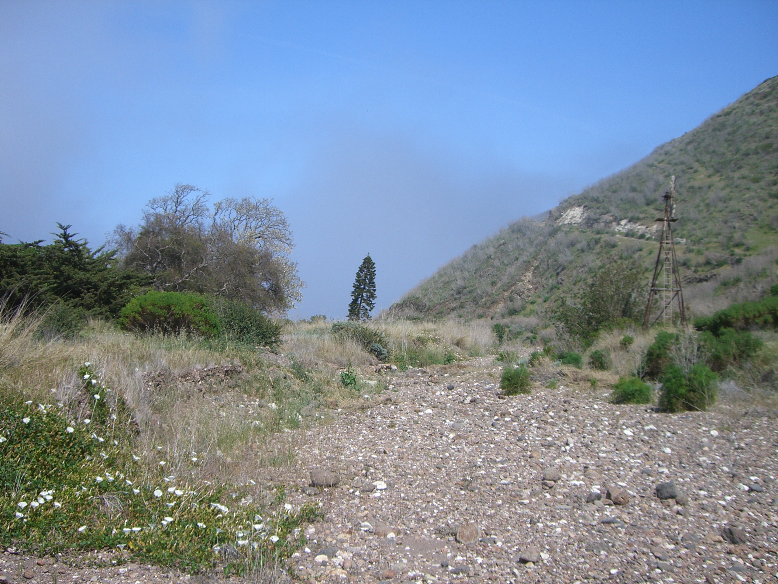 Scorpion Creek and Windmill