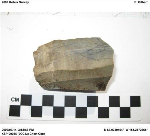 Walker Lake project area