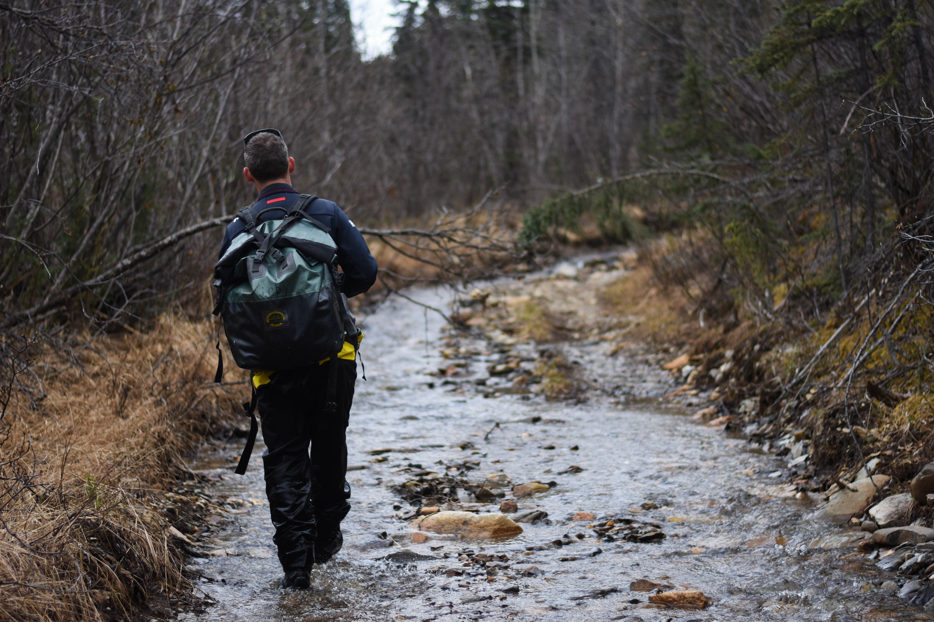 a man walking a gravel road in a forest