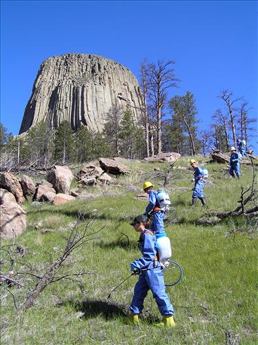 2006-2010 Meadow Restoration