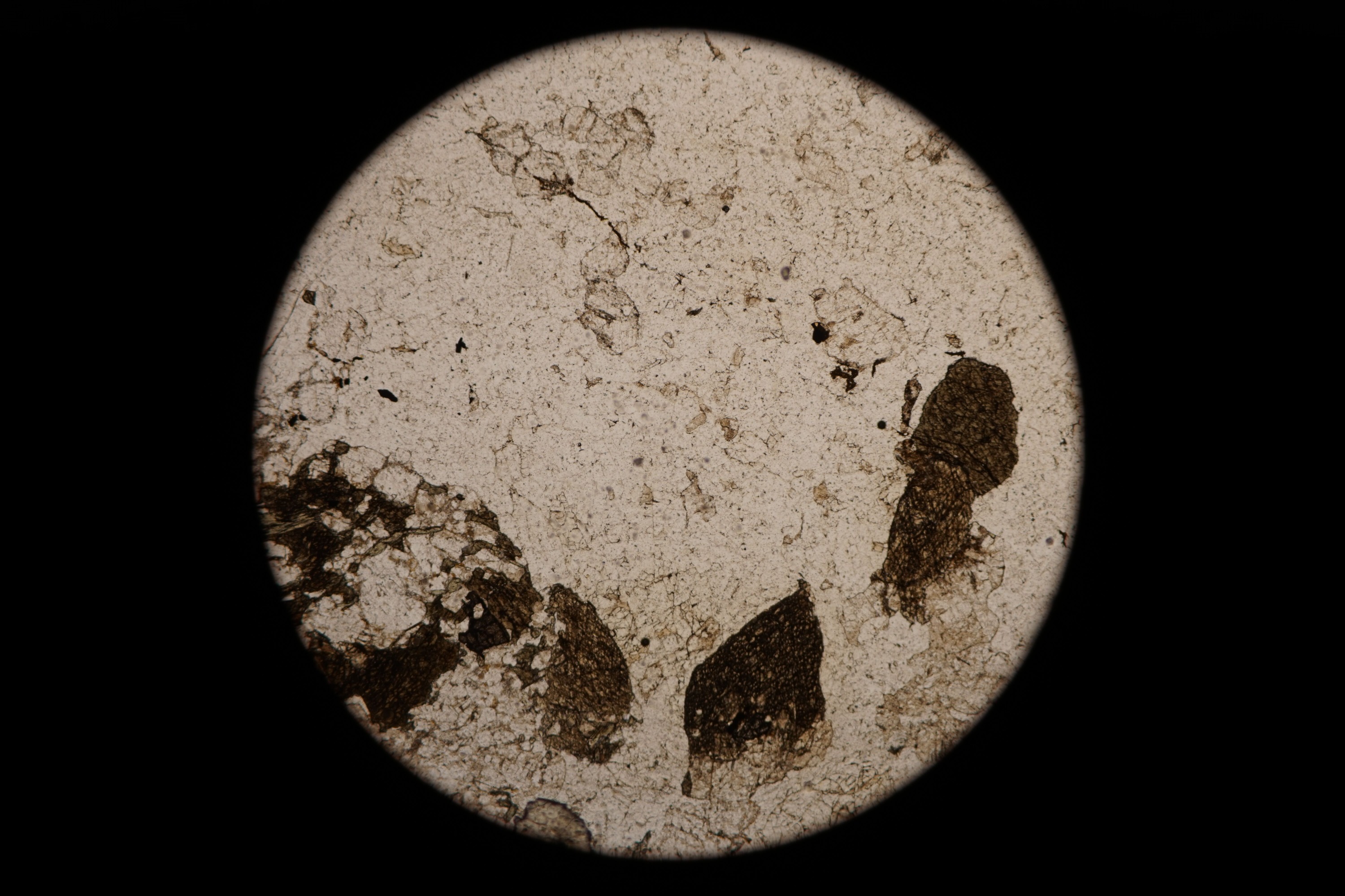 Circular microscopic image of rock structure.