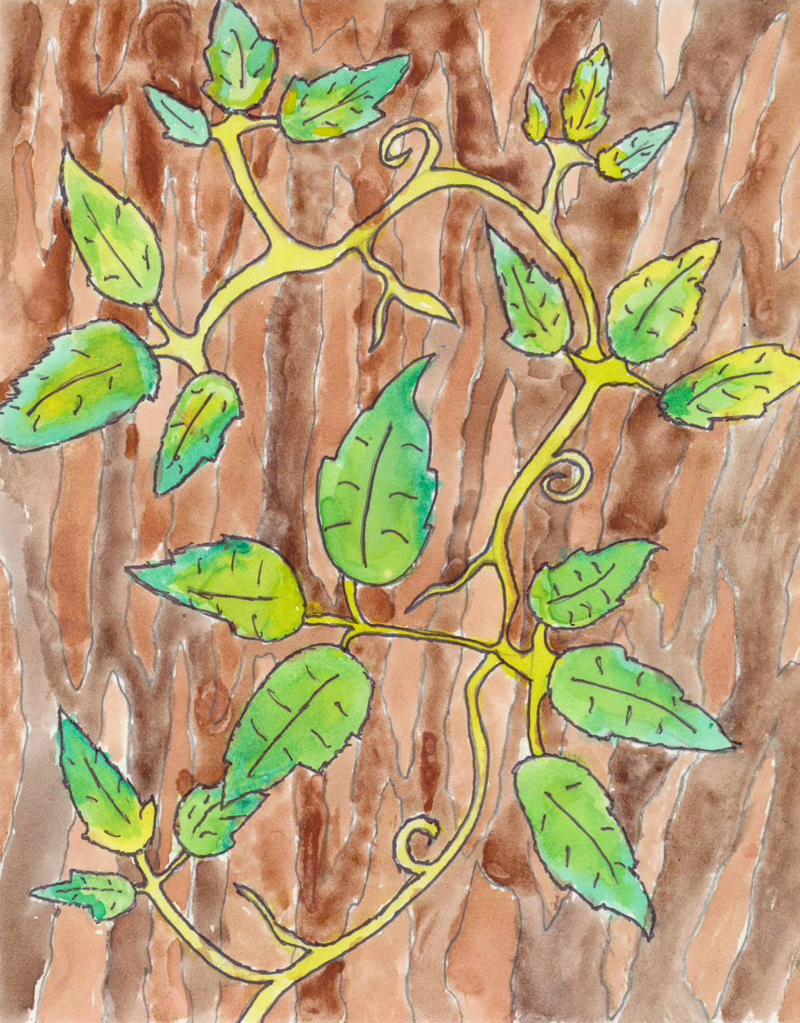 painting of ivy growing on a tree