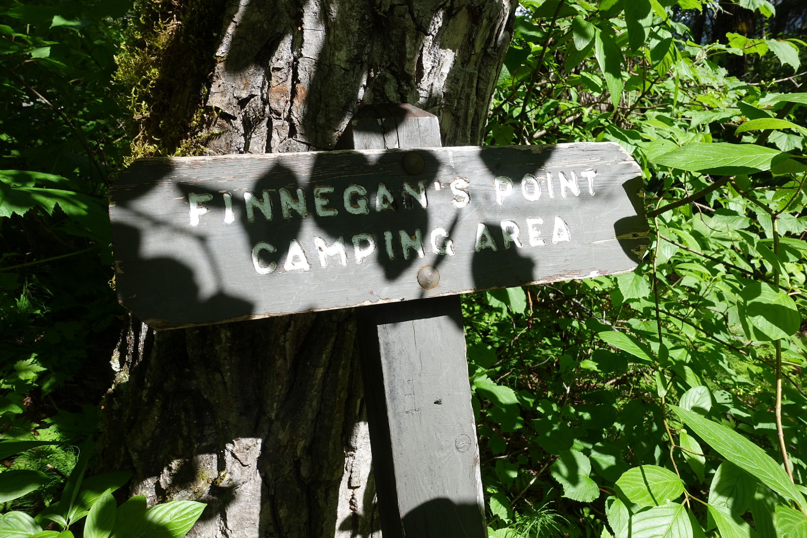 Dappled sunlight illuminates a painted wooden post sign marking Finnegan's Point. The trunk of a tree and leafy green vegetation sit behind the marker. 