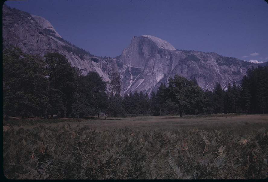 Half Dome from Sentinel Meadow