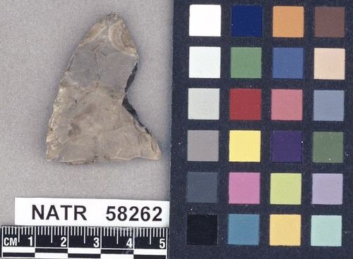 NATR   58262 -- Untyped projectile point