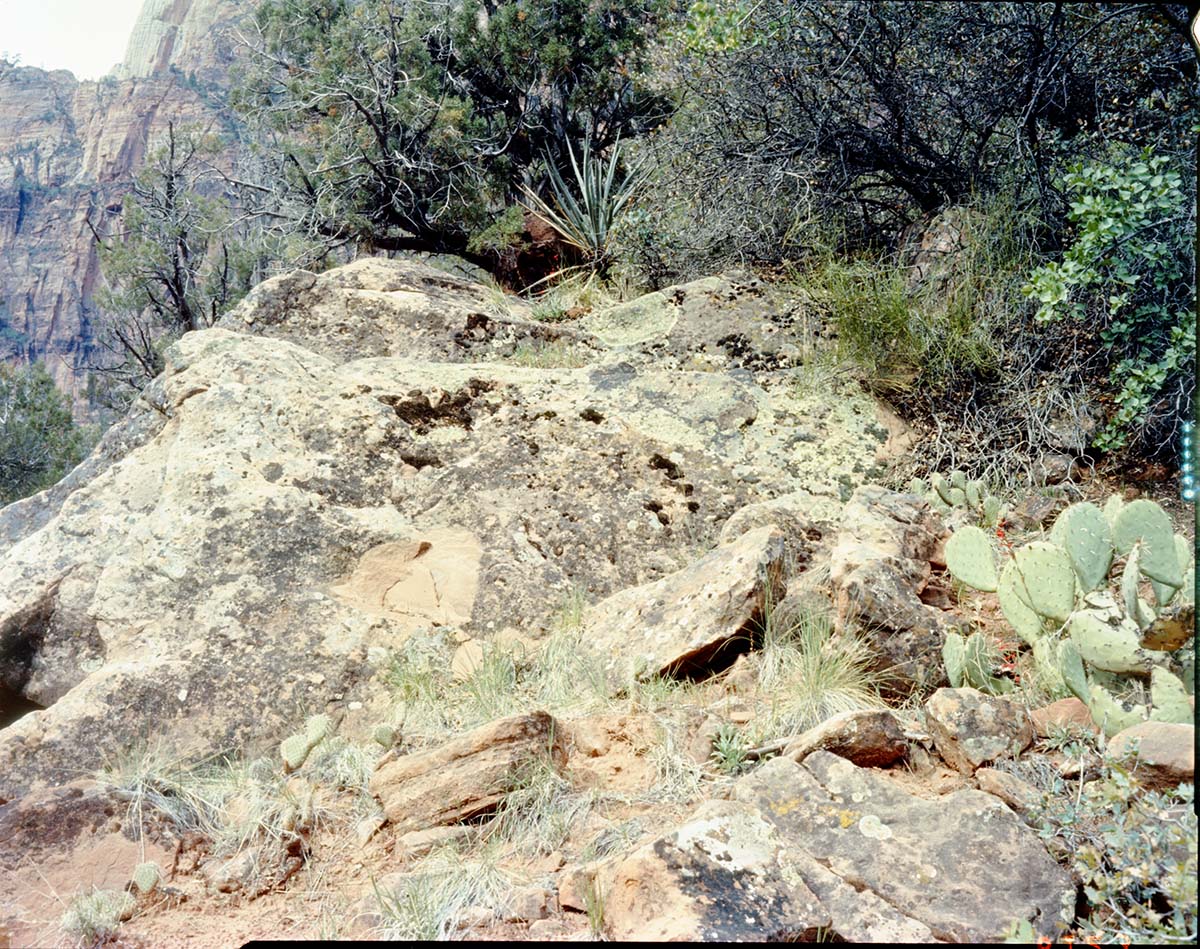 Color Photos of Zion Canyon - 4x5.