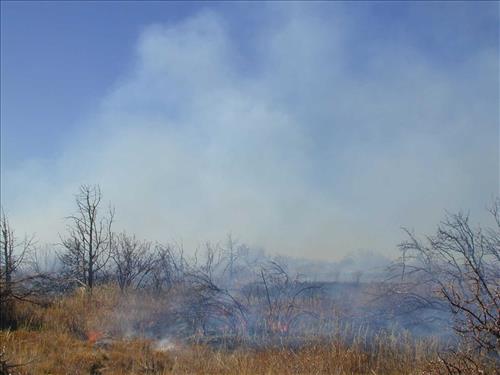 Smoke patterns during the Far View prescribed fire, November 2001