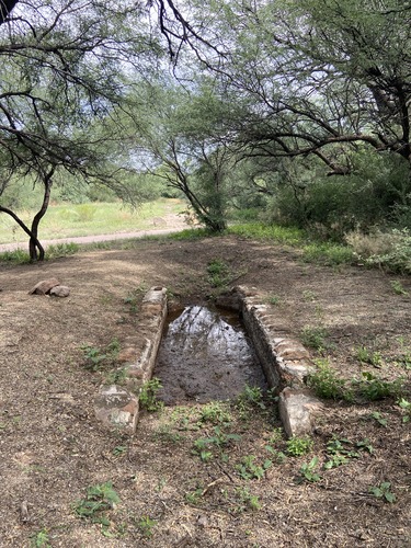 shallow brick-lined rectangular structure with narrow neck at one end