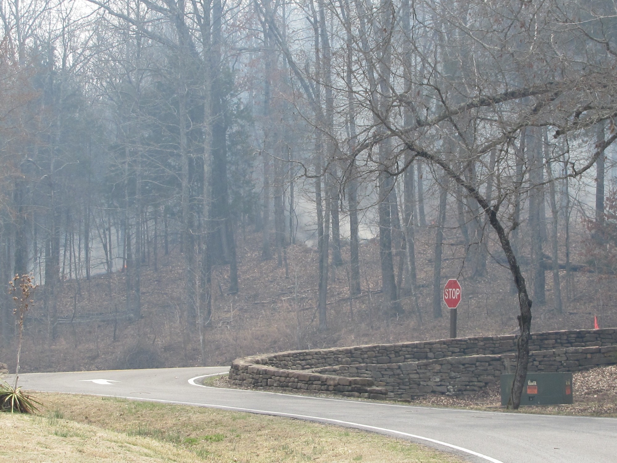 color photo of woods with plumes of white smoke at center. Green and brown grass and drive way in foreground and stop sign at right