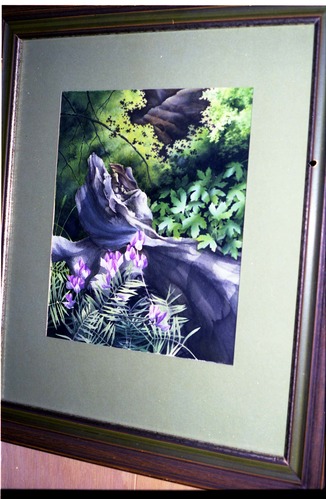 Color Photos of a temporary art exhibit.