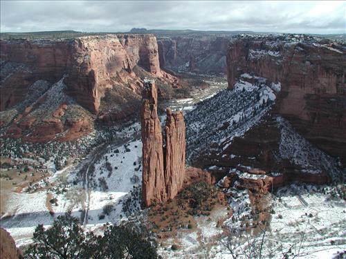 Exotic Species Removal Planning at Canyon de Chelly National Monument, Chinle, AZ - View at Spider Rock Overlook