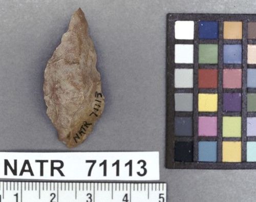 NATR   71113 -- Late Archaic Stemmed Cluster projectile point