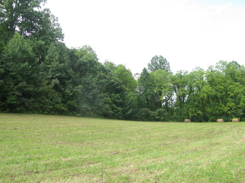 GRSM Accuracy Assessment. Plot Code: GRSM_AA_0533_5