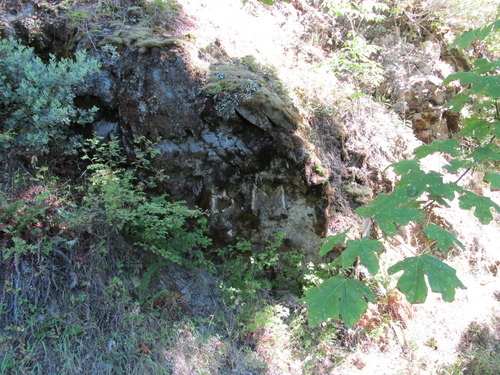 Capital white letters "BM" on rocky outcrop
