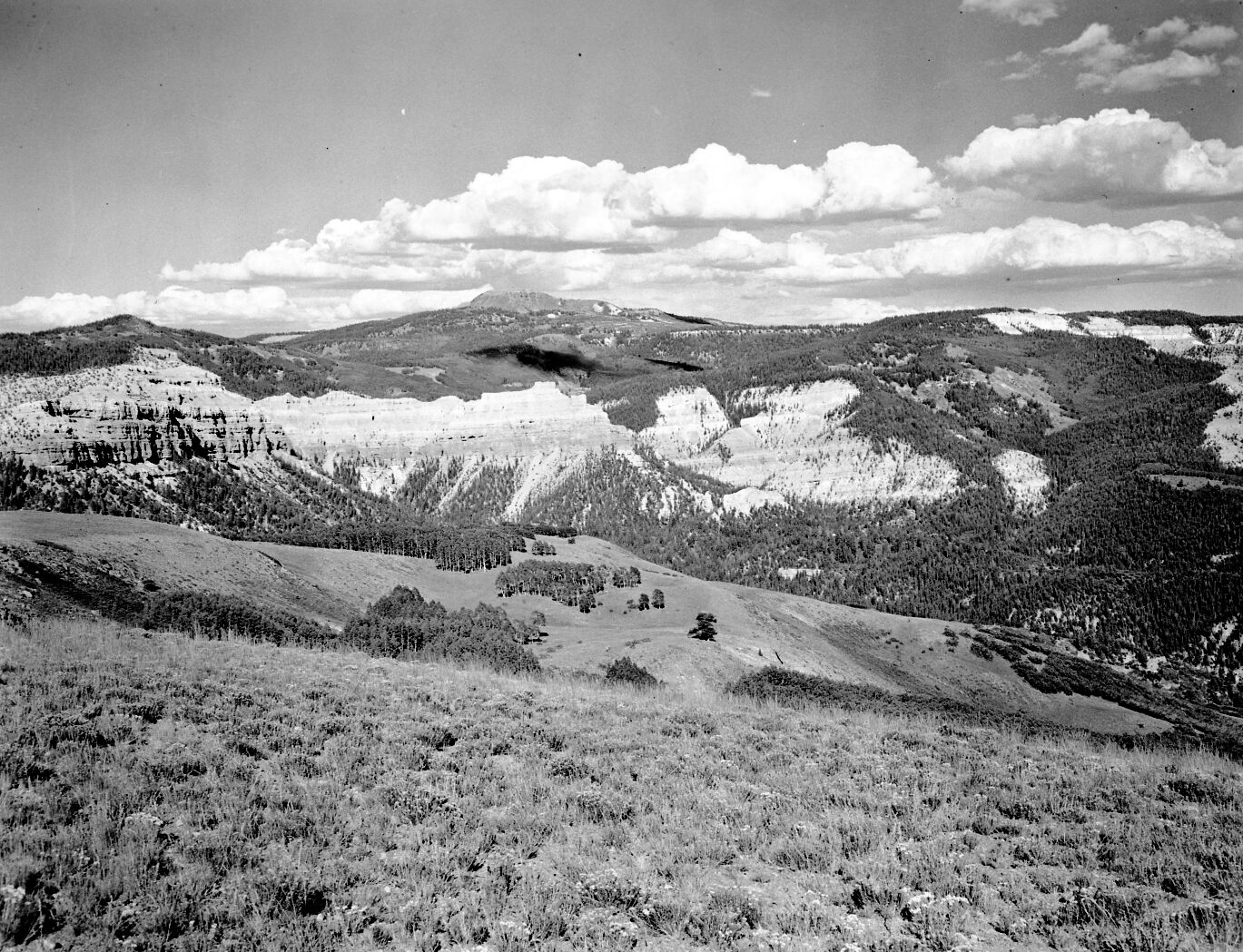 Scenic view from Tink's Racetrack at Brian Head.