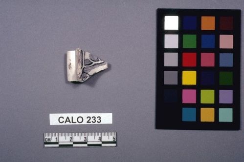CALO     233 -- Vessel Fragment