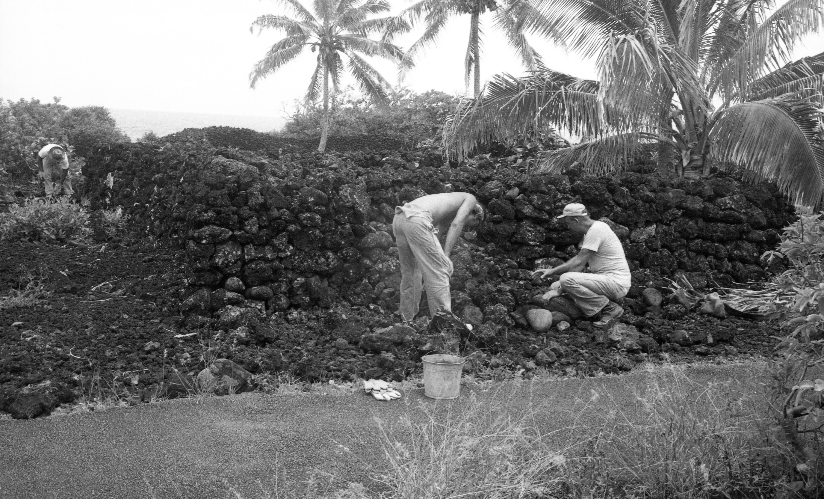 A black and white image of three men repairing a lava rock wall along a sidewalk in Kalapana. There is a pair of gloves and a bucket sitting on the edge of the sidewalk near the lava rock wall debris. In the center of the image there is a shirtless man bent over with his hands on his knees looking down at the lava rocks. To the right of him is another man crouched down wearing a baseball hat, a white t-shirt, and long pants. He is touching the lava rocks with both hands and is looking towards the rock wall. On the far-left side of the image is another man, he is bent over wearing gloves on his hands. He is holding onto a rod. In the background of the image beyond the lava rock wall is the ocean. There are also palm trees that have grown around the rock walls.