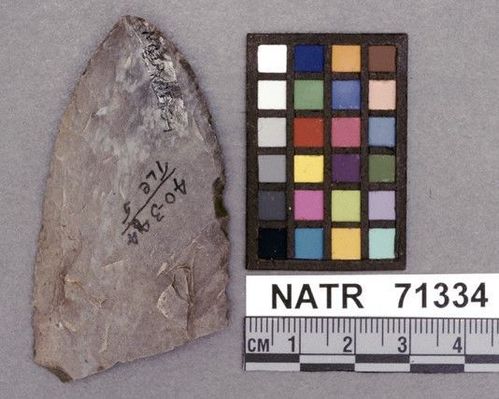 NATR   71334 -- Untyped projectile point