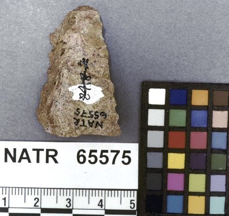 NATR   65575 -- Untyped projectile point