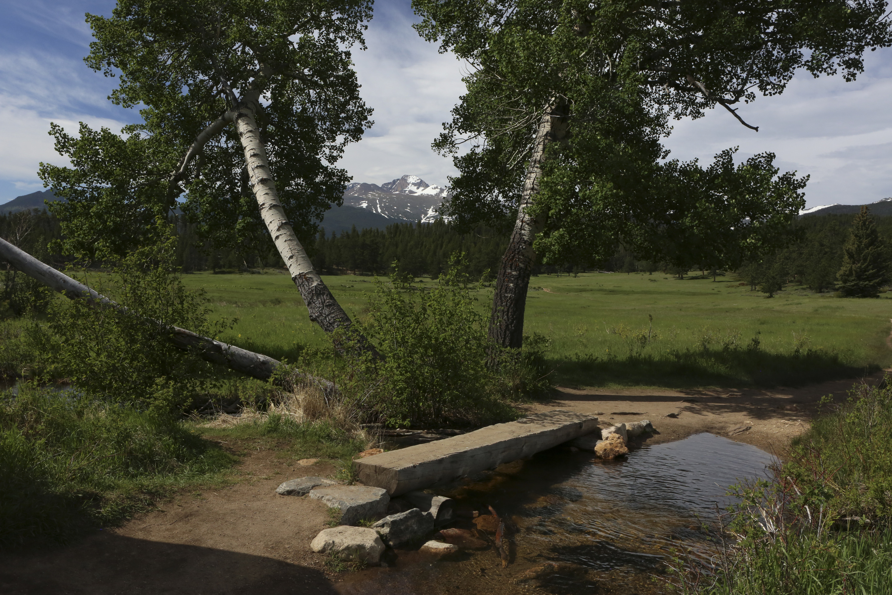 A rustic hewn log crosses a small stream under two large aspen.