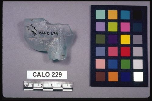 CALO     229 -- Bottle