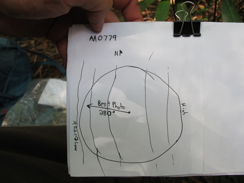 GRSM Accuracy Assessment. Plot Code: GRSM_AA_0779_7