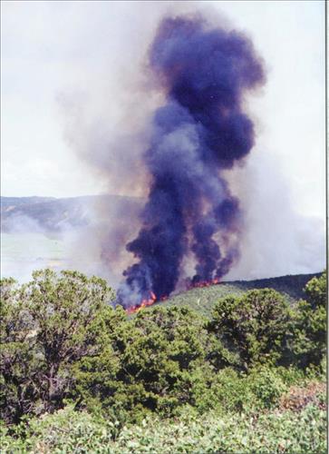 Intense burning with heavy gray and black smoke and flames during the Bircher fire, Mesa Verde National Park, July 2000