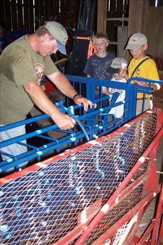 Junior Ranger, Goats and Gobblers, Miscellaneous