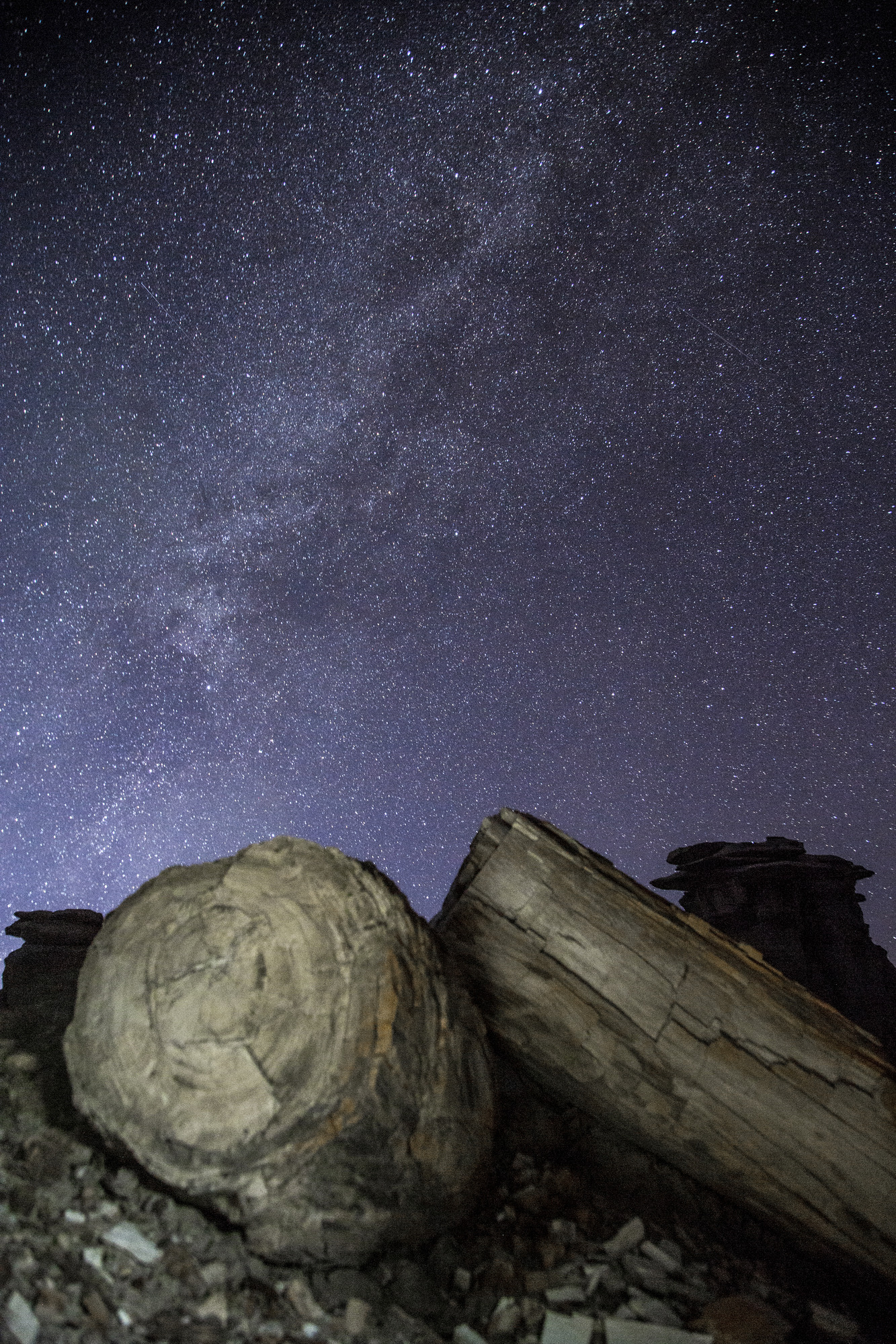 Stars Over Logs, Night Sky 
