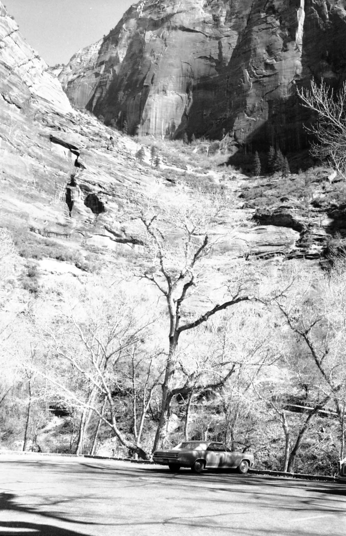 BW Photos of Weeping Rock - 35mm.