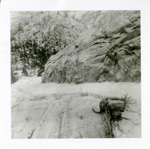 General view of the East Rim trail.