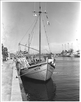 N.K. SYMI (Sponge Diving Boat). 