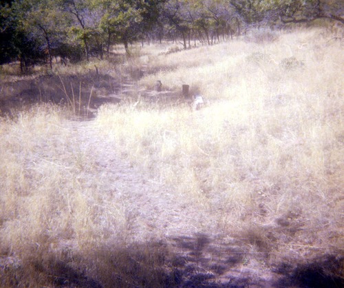 The construction of the Wiley Spring water pipeline.