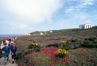Visitors on Anacapa Trail