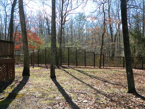 FRSP Demolish Johnson House 2013