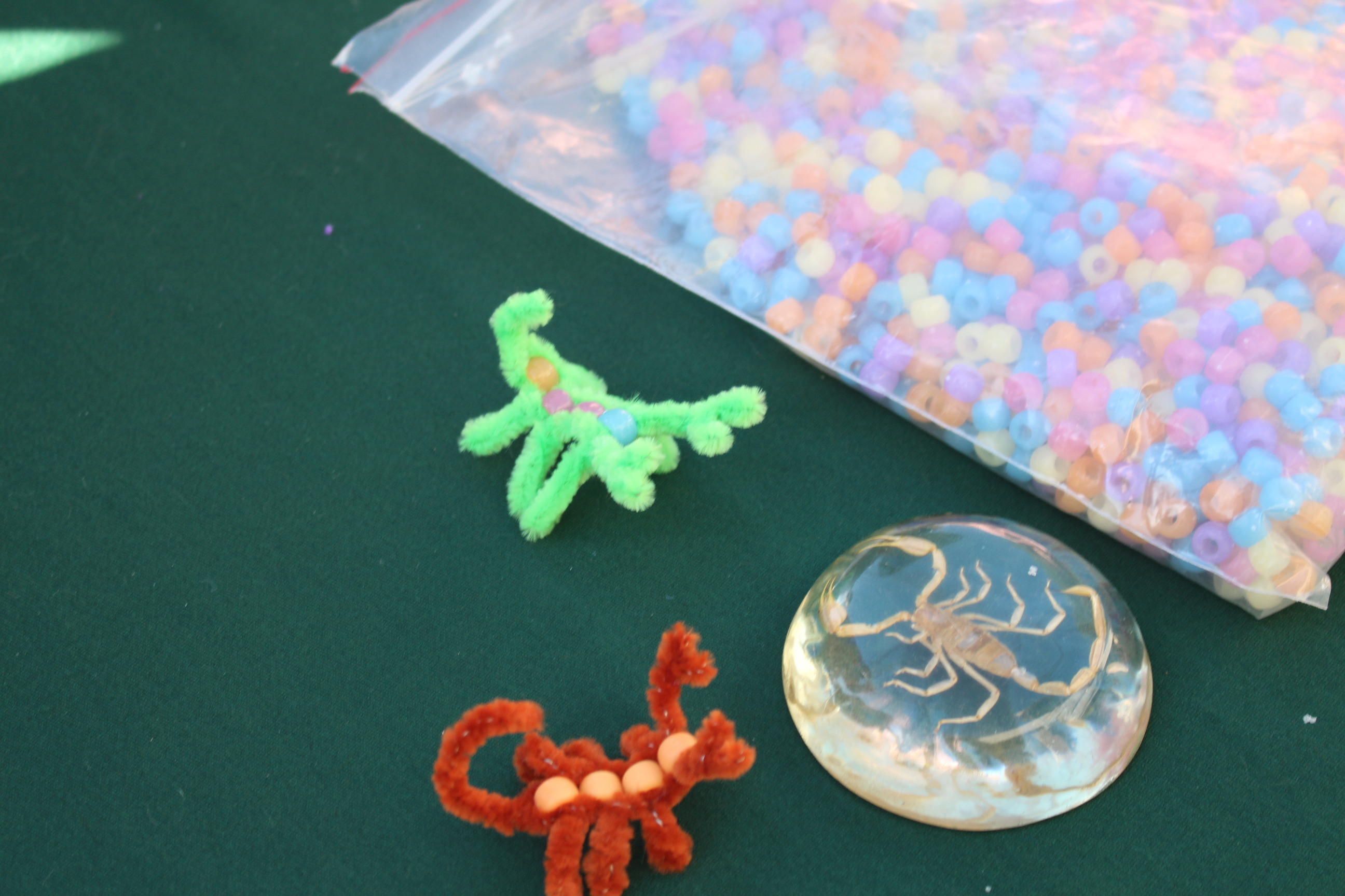 Pipe cleaners bent into the shapes of two scorpions on a table next to a real scorpion encased in acrylic, and a bag of fat colorful beads.