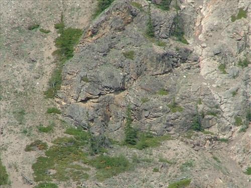 19 Yukon-Charley Rivers National Preserve Peregrine Falcon Survey July 2006
