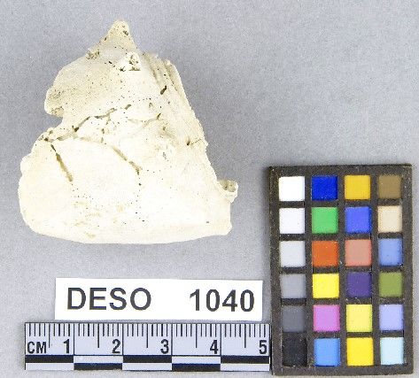 DESO    1040 -- Hammer