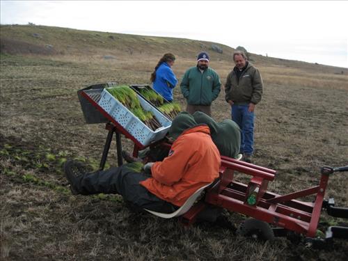 Prairie Restoration, Part 2