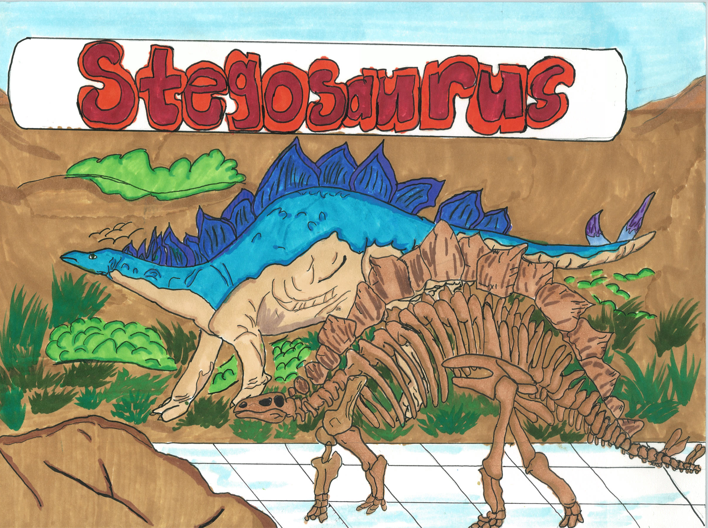 Color drawing of a dinosaur skeleton on display in a museum. 