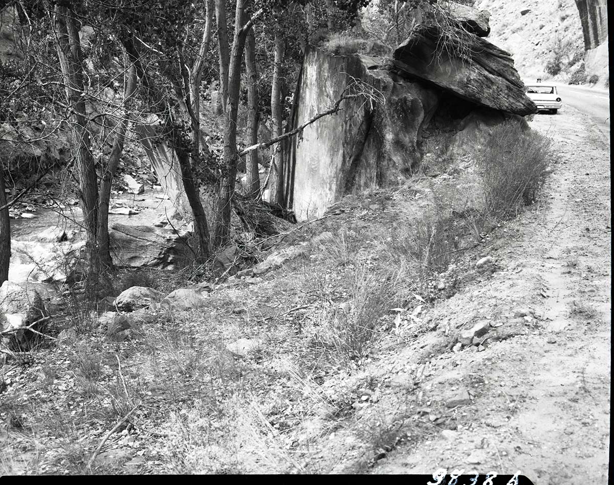 Site of visitor fall on bank of Virgin River.