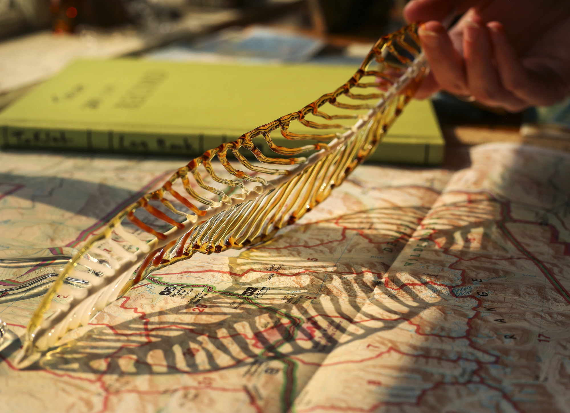a woman holds a glass feather over a map