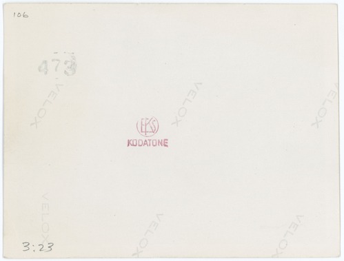 (Reverse) Bear Gulch Creek Rip-Rap