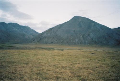 6 Gates of the Arctic National Park and Preserve Itkillik Birds Survey June 2006