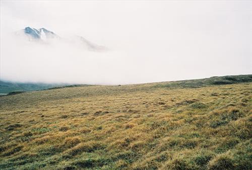 7 Gates of the Arctic National Park and Preserve Itkillik Birds Survey June 2006