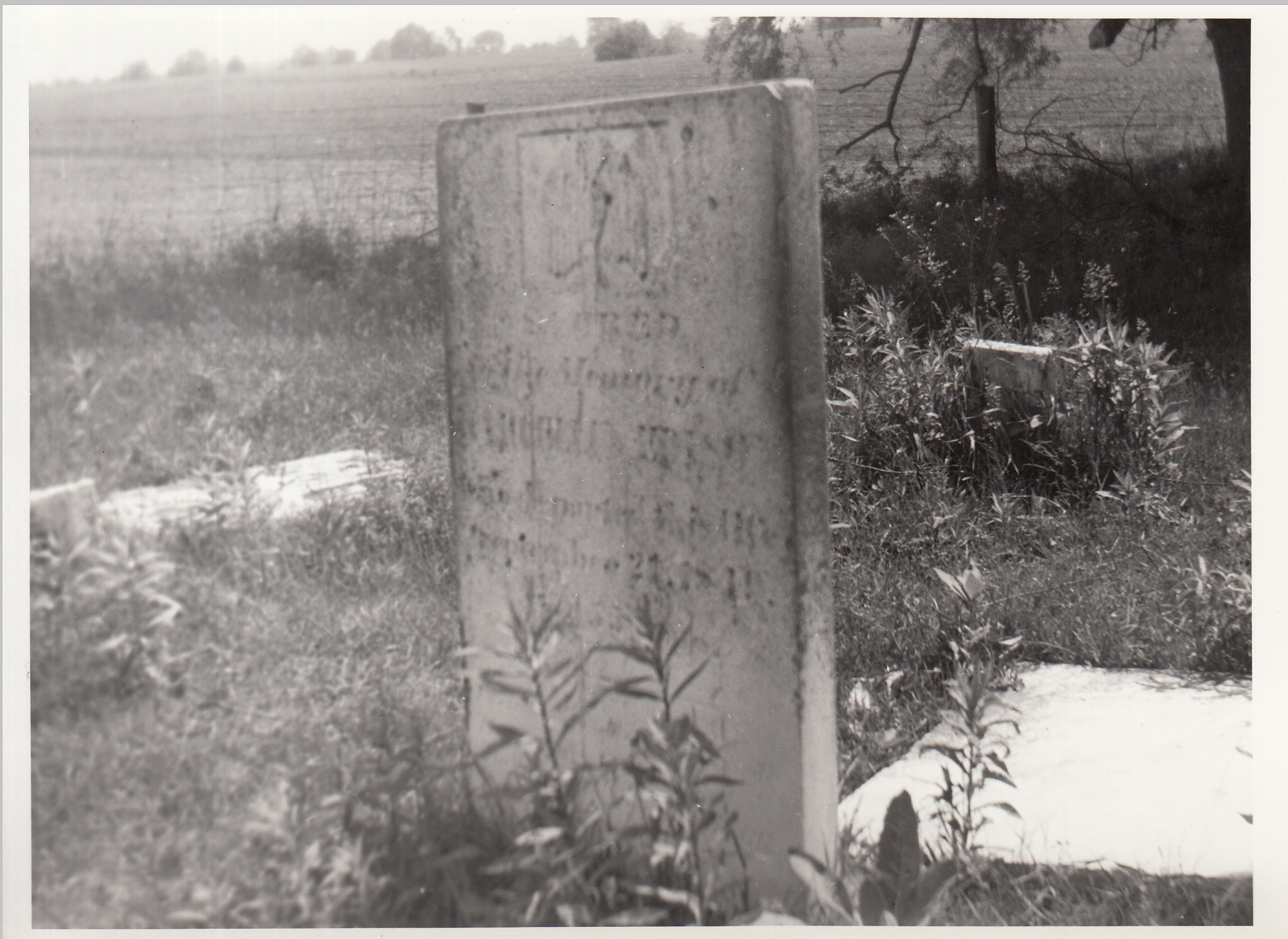 Gravestone of Marcellus (?) Edison "who departed this life September [21], 1849."