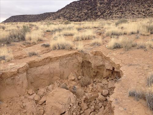 Retention Pond Erosion along PETR Boundary