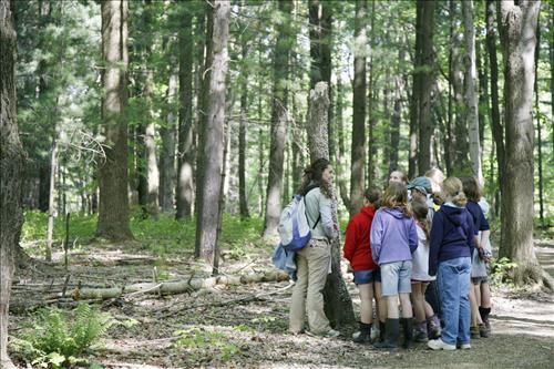 CVEEC Girl Scouts forest exploration